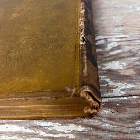 Antique Sir Walter Scott Poetical Works Illustrated Poetry Book Late 1800s HB - Picture 8 of 16